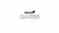 QAV250 logo transparent.png